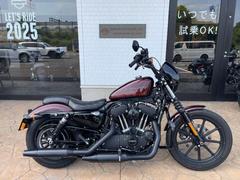 ＨＡＲＬＥＹ−ＤＡＶＩＤＳＯＮ　ＸＬ１２００ＮＳアイアン　ＥＴＣ　２人乗り仕様