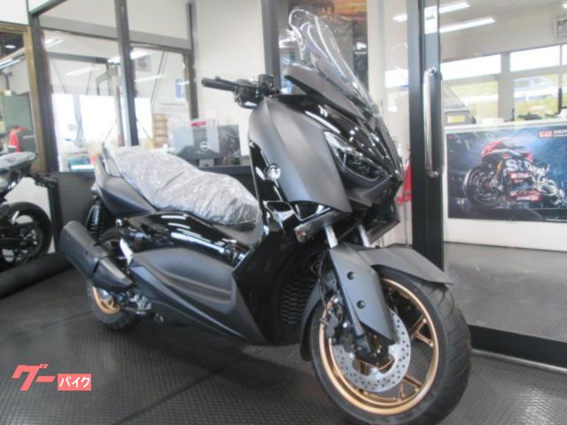 ヤマハ Ｘ－ＭＡＸ２５０の画像（千葉県