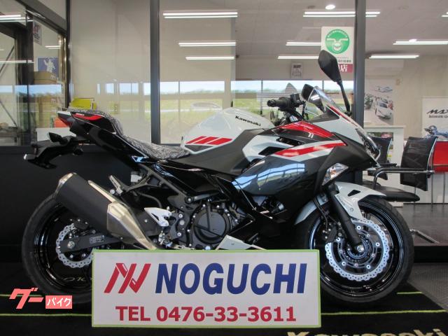 Ｎｉｎｊａ　２５０