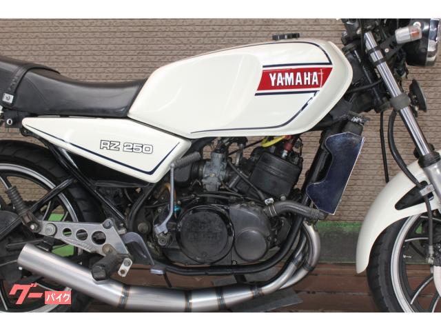 ヤマハ ＲＺ２５０ ４Ｌ３型 １９８０年モデル Ｗディスクブレーキ 社外チャンバー セミアップハンドル ２ストローク フルカスタム車｜Ａｕｔｏ  Ｓｕｐｐｌｙ｜新車・中古バイクなら【グーバイク】