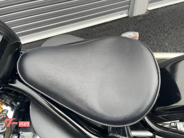 ドラスタ400 スポタン フェンダー セット ドラッグスター400（DRAGSTAR） - フェンダー - バイク王ダイレクト