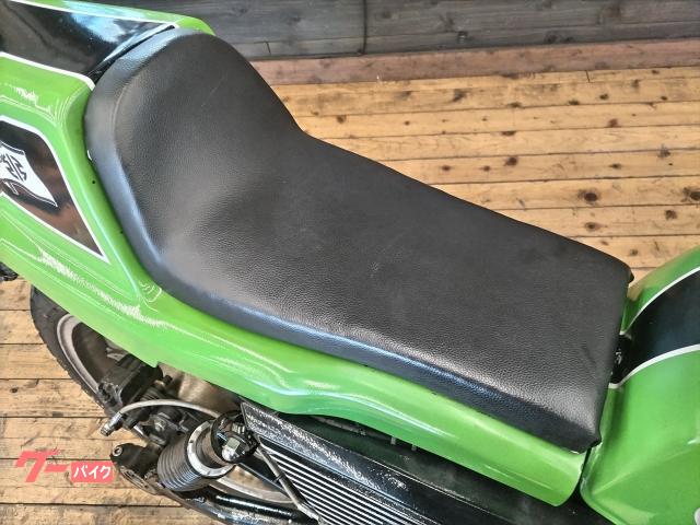 カワサキ ZRX400 ZR400E型 1994年モデル FX外装