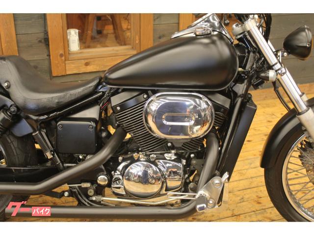 ホンダ シャドウスラッシャー NC40型 2000年モデル ショット