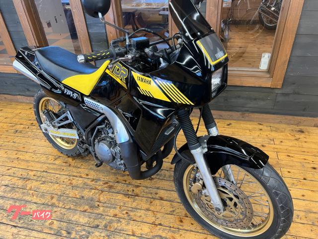 ヤマハ TDR250 1988年モデル ノーマル車 フラットコンチ 