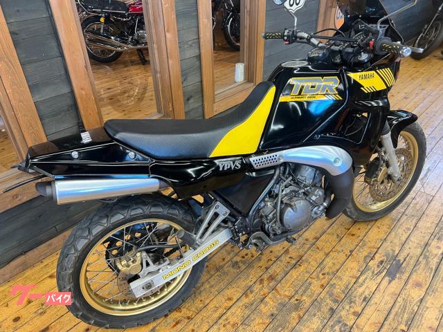 ヤマハ TDR250 1988年モデル ノーマル車 フラットコンチ 