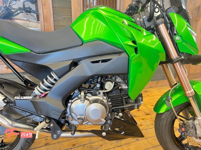 カワサキ Z125PRO 2016年モデル SP武川マフラー LED