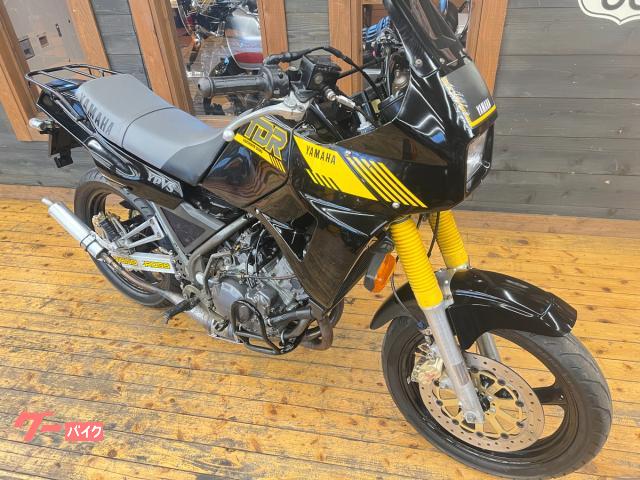 ヤマハ TDR250 前後キャストホイール ブレンボキャリパー クロス