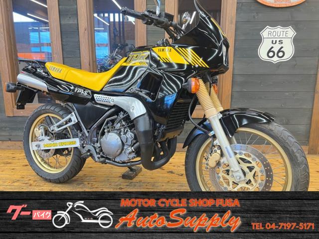 ＴＤＲ２５０　１９８８年モデル　フルノーマル車　リアキャリアステー付き
