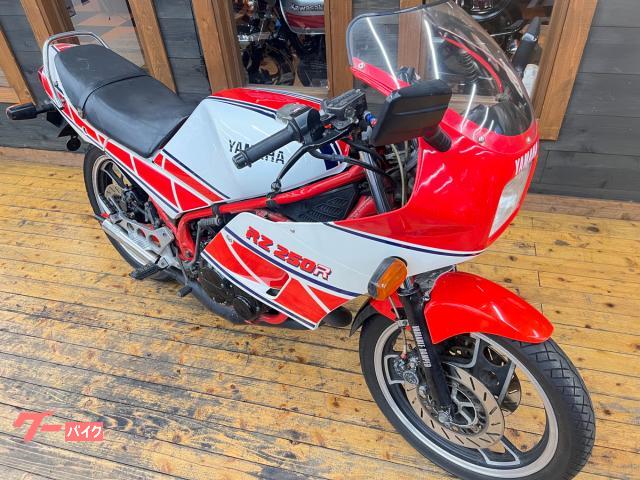 ヤマハ RZ250RR 1984年モデル YUZOクロスチャンバー