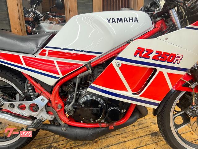 ヤマハ RZ250RR 1984年モデル YUZOクロスチャンバー
