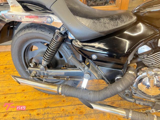 カワサキ エリミネーター250V 2007年 最終モデル スラッシュ