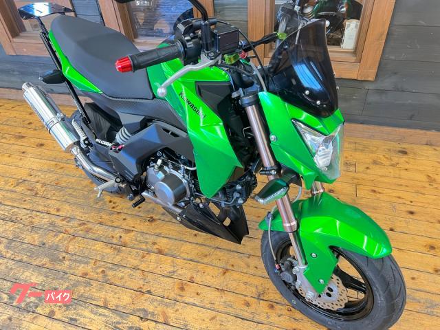 カワサキ Z125PRO 2016年モデル SP武川マフラー LED