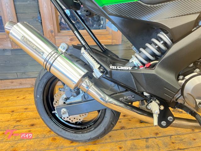 カワサキ Z125PRO 2016年モデル SP武川マフラー LED