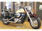 カワサキ バルカン４００クラシック　１９９７年　ＶＮ４００Ａ型　コブラシート　スラッシュカットマフラー　サイドバッグ　バックレストの画像（千葉県