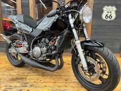 ヤマハ　ＴＤＲ２５０　２ＹＫ型　１９８８年モデル　セパハン　ジャッカルチャンバー　バックステップ　ストリートファイター仕様