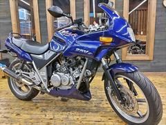 ホンダ　ＸＥＬＶＩＳ　ＭＣ２５　ＤＡＮＭＯＴＯカーボンスリップオンマフラー　ＬＥＤヘッドライト　ナポレオンミラー　メットホルダー付
