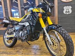 ヤマハ　ＴＤＲ２５０　２ＹＫ　１９８８年モデル　ノーマル車　リアキャリア付き