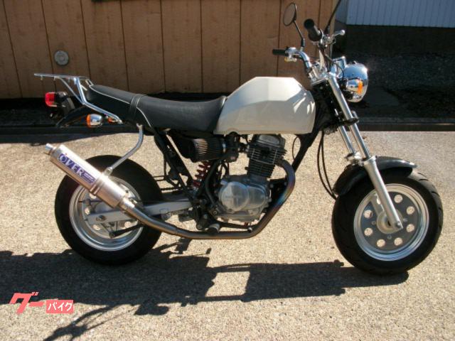 Ａｐｅ１００ＤＸ