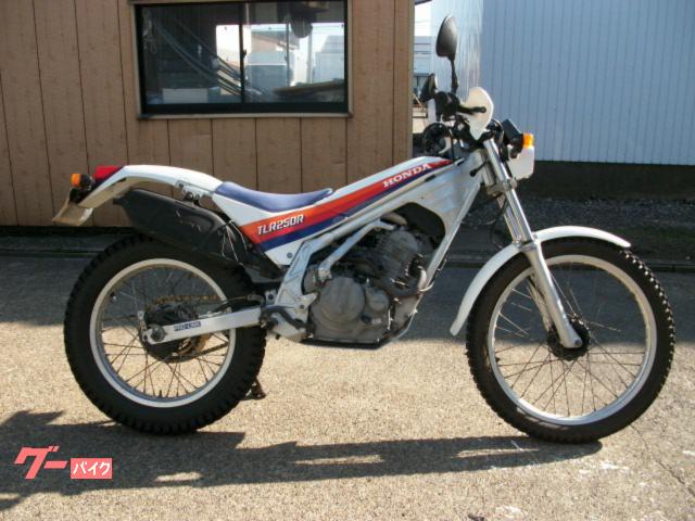 ＴＬＲ２５０Ｒ