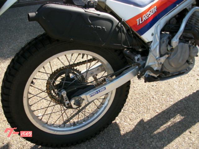 ホンダ TLR250R｜頚城サイクルショップ有限会社｜新車・中古