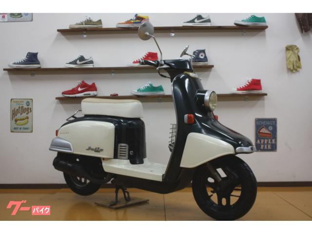 ホンダ ジュリオ インナーラック フロントフェンダーガーニッシュ 2