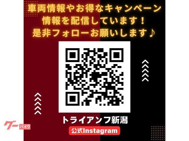 スピード400 カーニバルレッド／ストームグレイ 2024年モデル 中古車