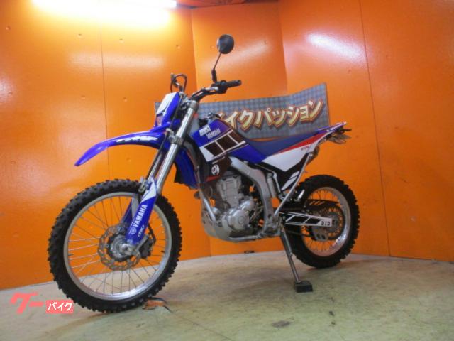 新品:タイヤスポーク】電動アシスト自転車 アンジェリーノ