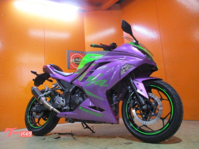 Ｎｉｎｊａ　２５０　２０１３年スペシャルエディション　初号機仕様社外カウル　社外マフラー　アジャスター機能付社外レバー　ＥＴＣ