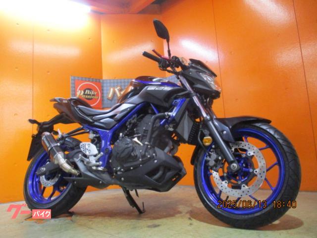 ＭＴ−２５　２０１７年ＲＧ４３Ｊモデル　左右アジャスター機能付き社外レバー　社外ステンレスフルエキマフラー