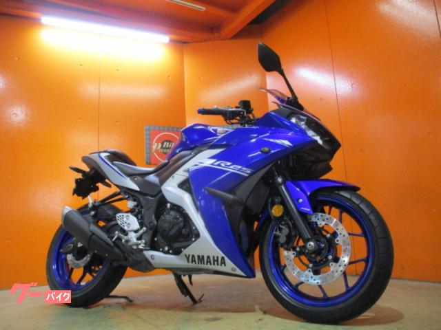ＹＺＦ−Ｒ２５　ＡＢＳ　２０１７年規制前３６ＰＳフルパワーファイナルエディション　カウルプロテクターオプション　Ｒタイヤバリ溝