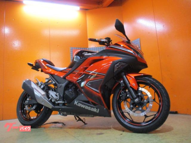 Ｎｉｎｊａ　２５０　２０１４年スペシャルエディション　社外セパレートハンドル　左右アジャスター機能付き社外レバー　フェンダーレス