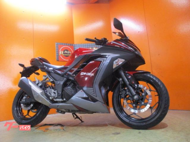 Ｎｉｎｊａ　２５０　２０１３年　キャンディーフレアレッドカラー
