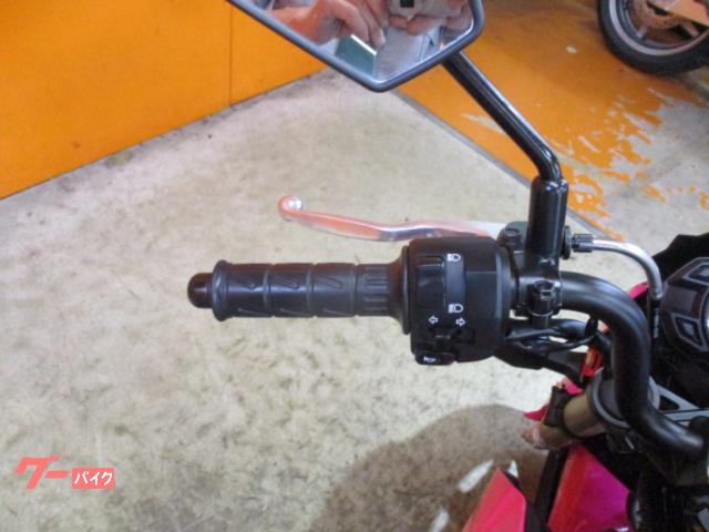 カワサキ Z125PRO 2016年モデル ショッキングピンク