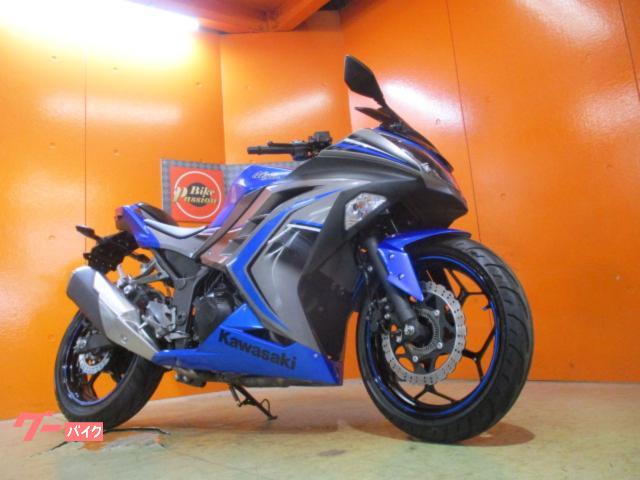 Ｎｉｎｊａ　２５０　ＡＢＳ　２０１６年スリーパクラッチ後期モデル　スモークスクリーン　スペシャルエディションカラー