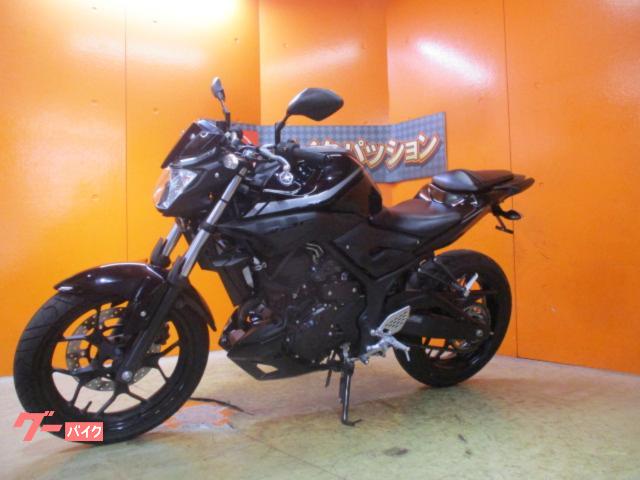 ヤマハ MT－25 2019年RG43Jモデル フェンダーレス マッド 