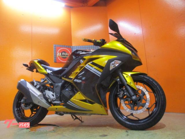 Ｎｉｎｊａ　２５０　２０１３年モデル　スモークスクリーン　アジャスター機能付き社外レバー　社外グリップ　フェンダーレス
