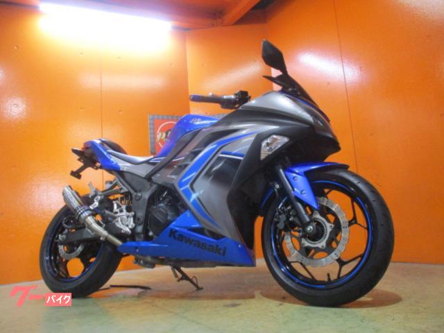 Ｎｉｎｊａ　２５０　ＡＢＳ　２０１６年後期スリーパークラッチ搭載モデル　２．０ＥＴＣ　社外マフラー　スモークスクリーン　フェンレス