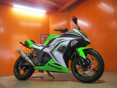カワサキ　Ｎｉｎｊａ　２５０　２０１６年後期スリーパークラッチ搭載モデル　月木マフラー　フェンダーレス　スペシャルエディションカラー