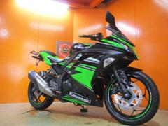 カワサキ　Ｎｉｎｊａ　２５０　ＡＢＳ　２０１６年ＫＲＴエディション　フェンダーレス　社外フロントスクリーン　社外キャリア