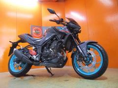 ヤマハ　ＭＴ−２５　ＡＢＳ　２０２２年ＲＧ７４Ｊモデル　スモークスクリーン　スポーツグリップヒーター　左右アジャスター機能付社外レバー