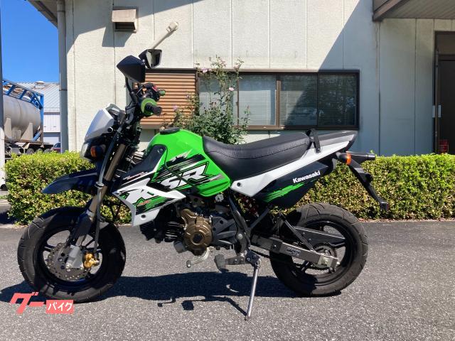 カワサキ KSR PRO ワンオーナー車／ノーマル｜ZEALOT