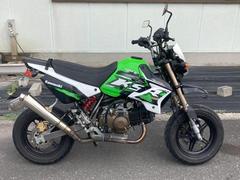カワサキ　ＫＳＲ　ＰＲＯ　タケガワマフラー／２０１５年モデル／フェンダーレス