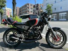 ヤマハ　ＲＺ２５０　ブラックライン　クロスチャンバー　コンドルハンドル　タックロールシート　サイドアルフィンカバー　スタビライザー