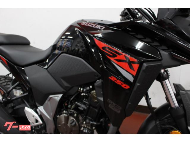 スズキ Ｖ－ストロームＳＸ　　国内未発売モデルの画像（神奈川県