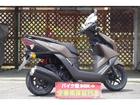 ホンダ ＮＸ１２５　国内未発売モデルの画像（神奈川県