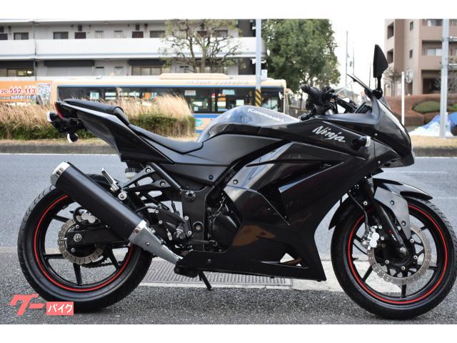 Ｎｉｎｊａ ２５０Ｒ(カワサキ) 走行距離15000～20000kmのバイク一覧 ...