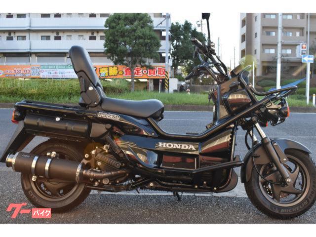 ホンダ ＰＳ２５０ ビームス キジマフロントキャリア｜エムズガレリ