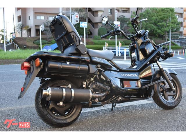 ホンダ ＰＳ２５０ ビームス キジマフロントキャリア｜エムズガレリ