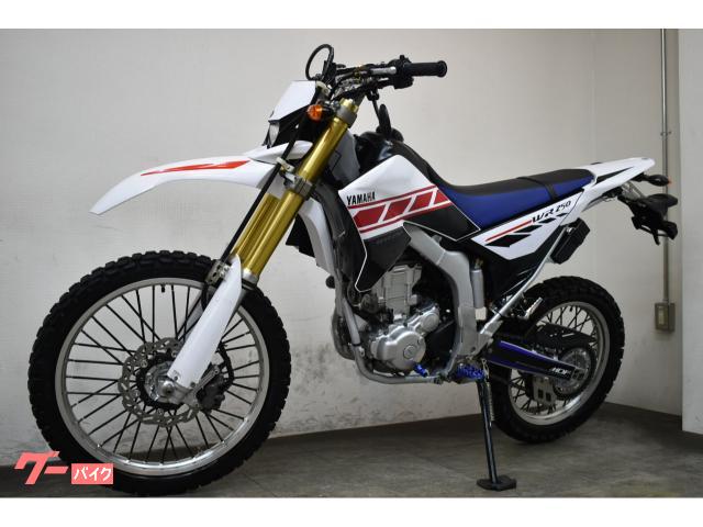 ヤマハ WR250R ワイズギア ストロボカラー｜エムズガレリ