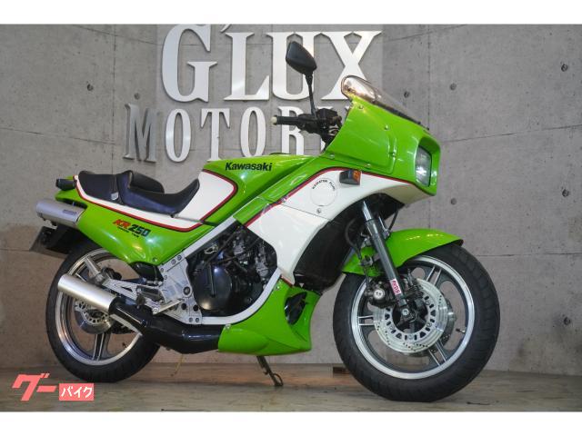 カワサキ ＫＲ２５０ 初期型モデル １９８４年 １オーナー車両 ＥＧ降